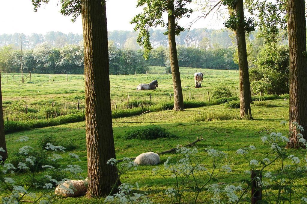 Do'S Chalets Baarland Ngoại thất bức ảnh